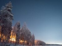 trees covered with snow under blue sky during daytime