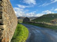 a road with grass and rocks on the side